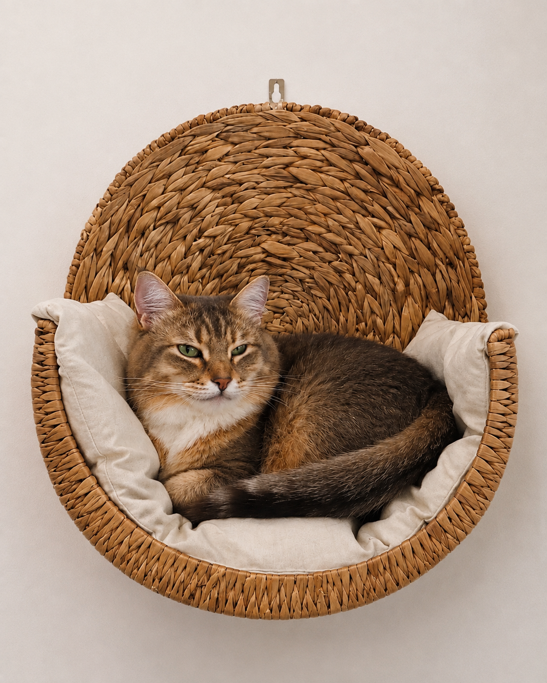 Purfectly- Handwoven Cat Beds